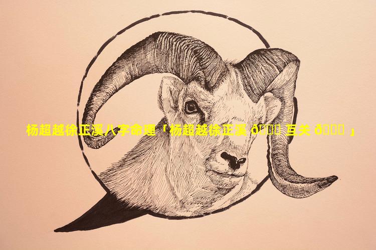 杨超越徐正溪八字命理「杨超越徐正溪 🐘 互关 🐎 」